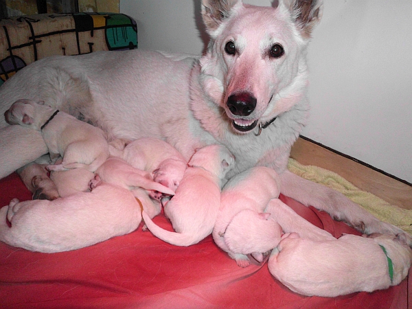 satt, trocken, sauber - Mama glcklich